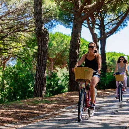 Reve Bleu Pyramide Vue Port Hyper Centre Wifi Parking Prive Gratuit Apartment