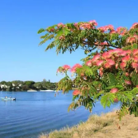 Apartment Reve Bleu Pyramide Vue Port Hyper Centre Wifi Parking Prive Gratuit