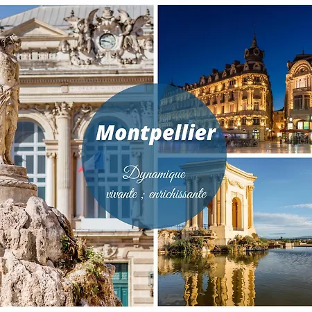 Apartment Reve Bleu Pyramide Vue Port Hyper Centre Wifi Parking Prive Gratuit *